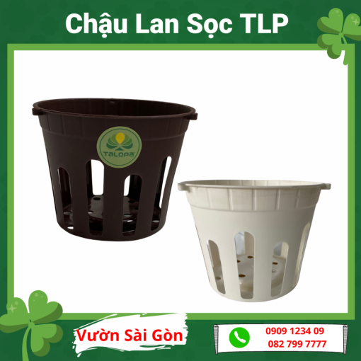 Chau Lan Soc Tlp