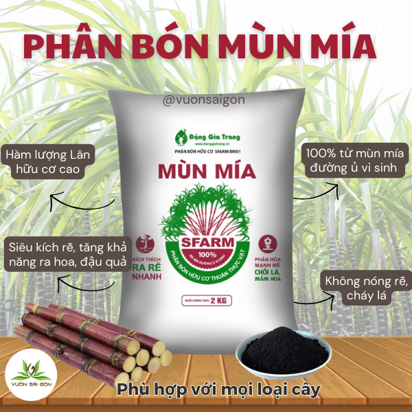 Phan Bon Mun Mia