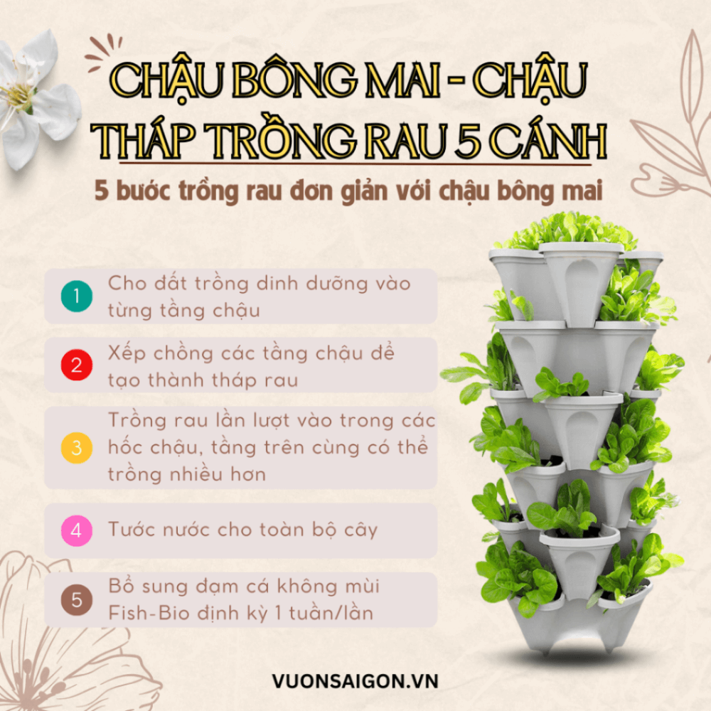 Chau Bong Mai 5 Canh