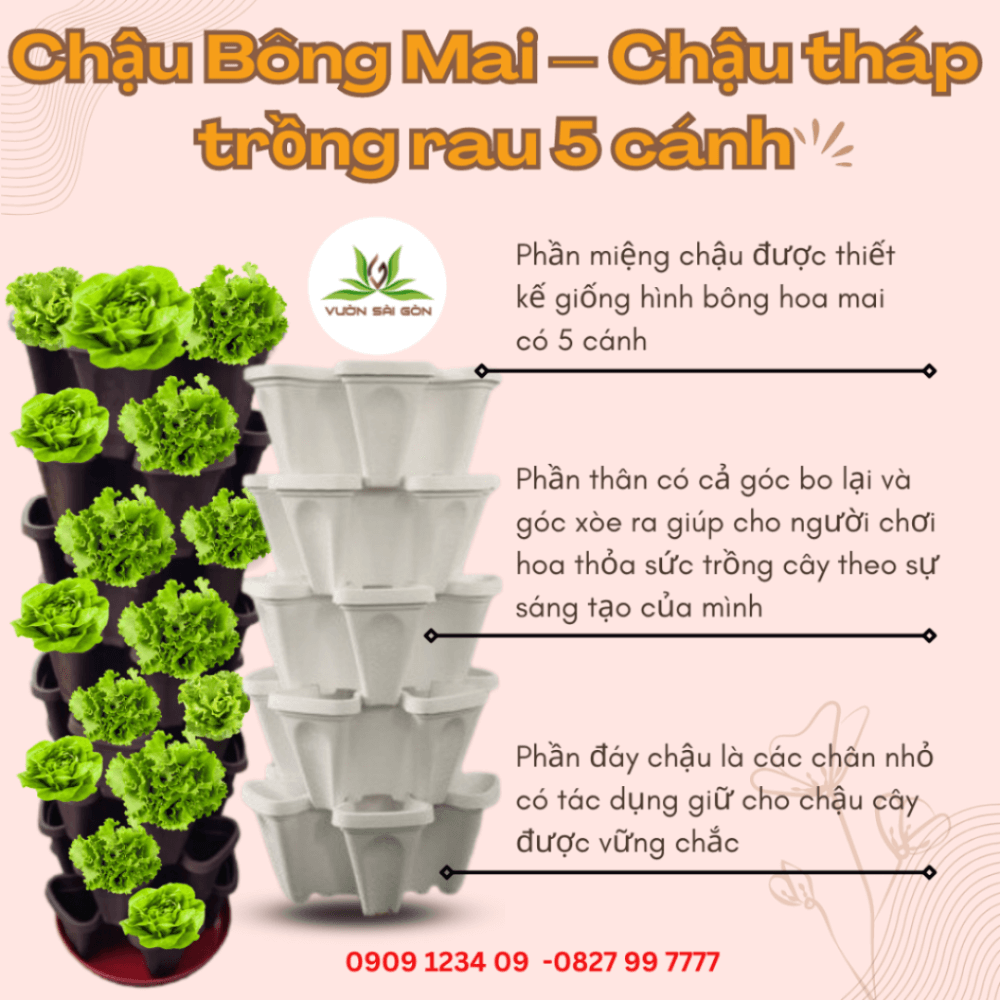 Thap Trong Rau 5 Canh