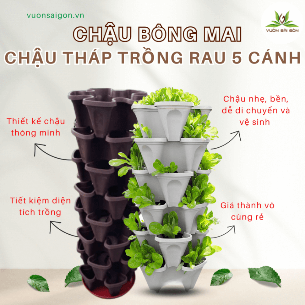 Thap Trong Rau