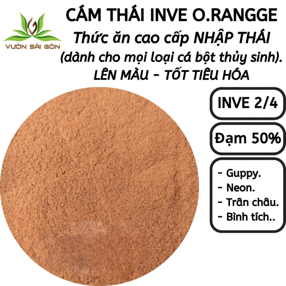 Cam Thai Inve 2 4 3