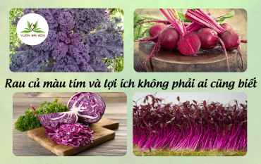 Rau Cu Mau Tim Va Nhung Loi Ich Khong Phai Ai Cung Biet