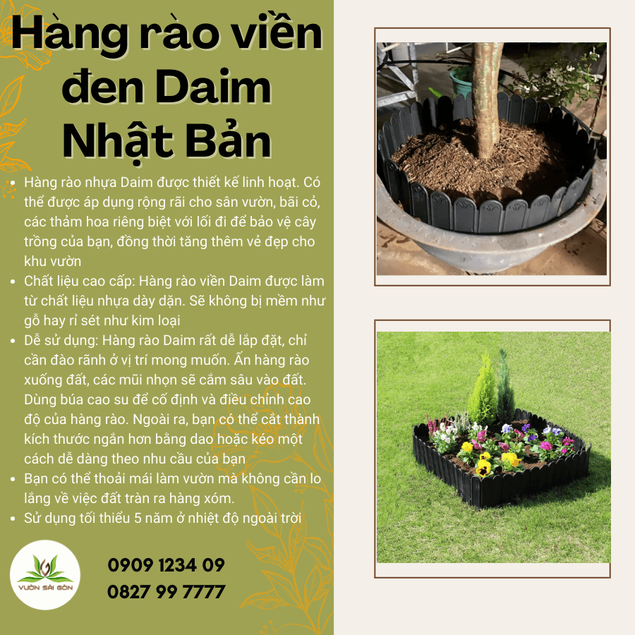 Hang Rao Vien Daim Den (2)