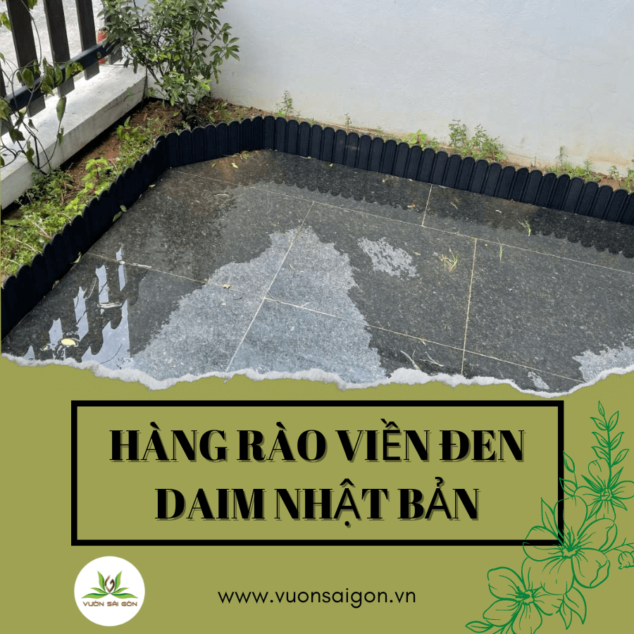 Hang Rao Vien Daim Den (4)