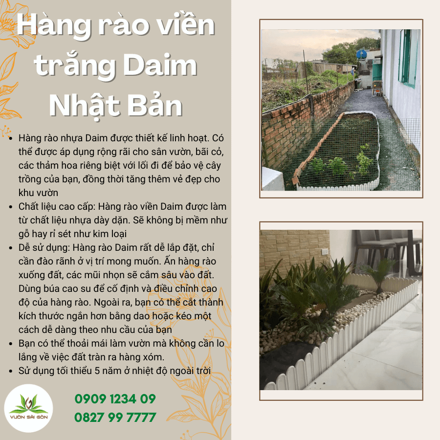 Hang Rao Vien Daim Trang (2)