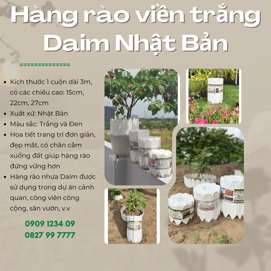 Hang Rao Vien Daim Trang (3)