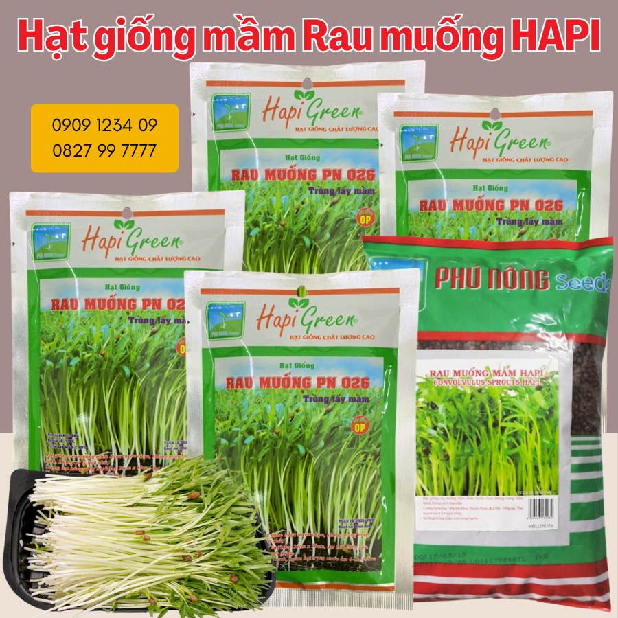 Hat Giong Mam Rau Muong