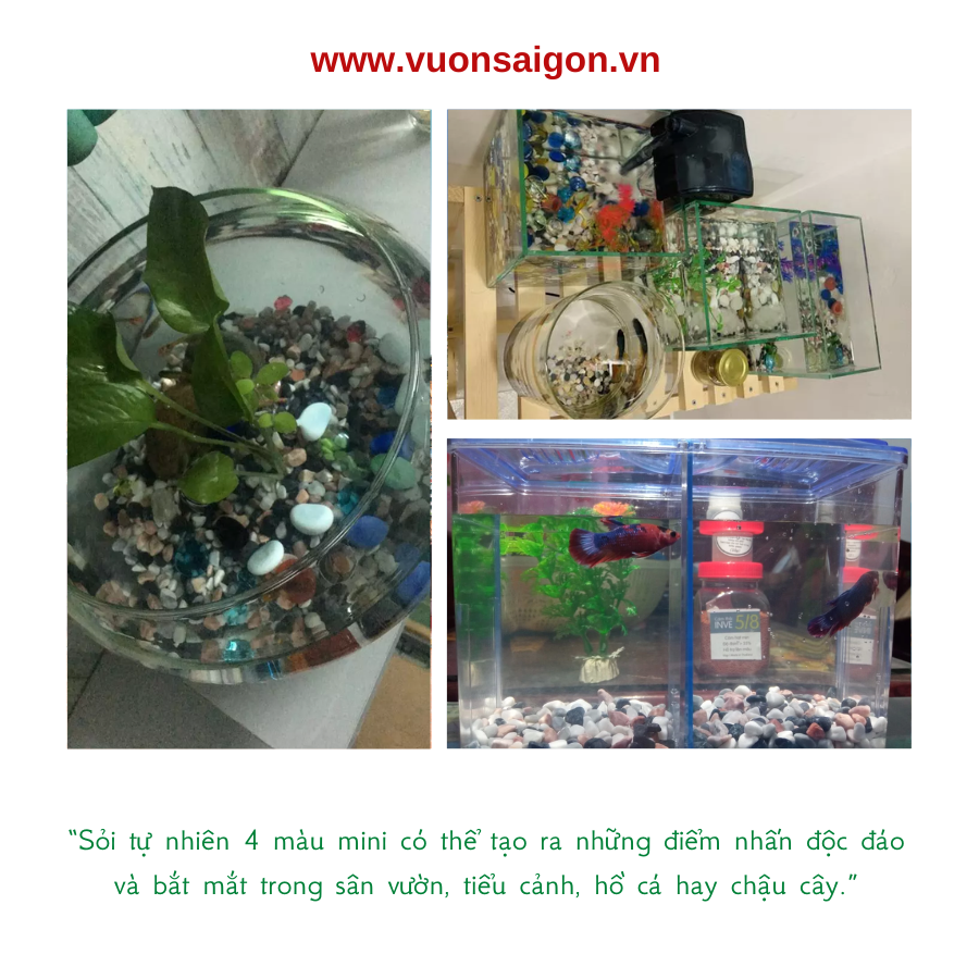 Soi 4 Mau Mini Trang Tri (1)