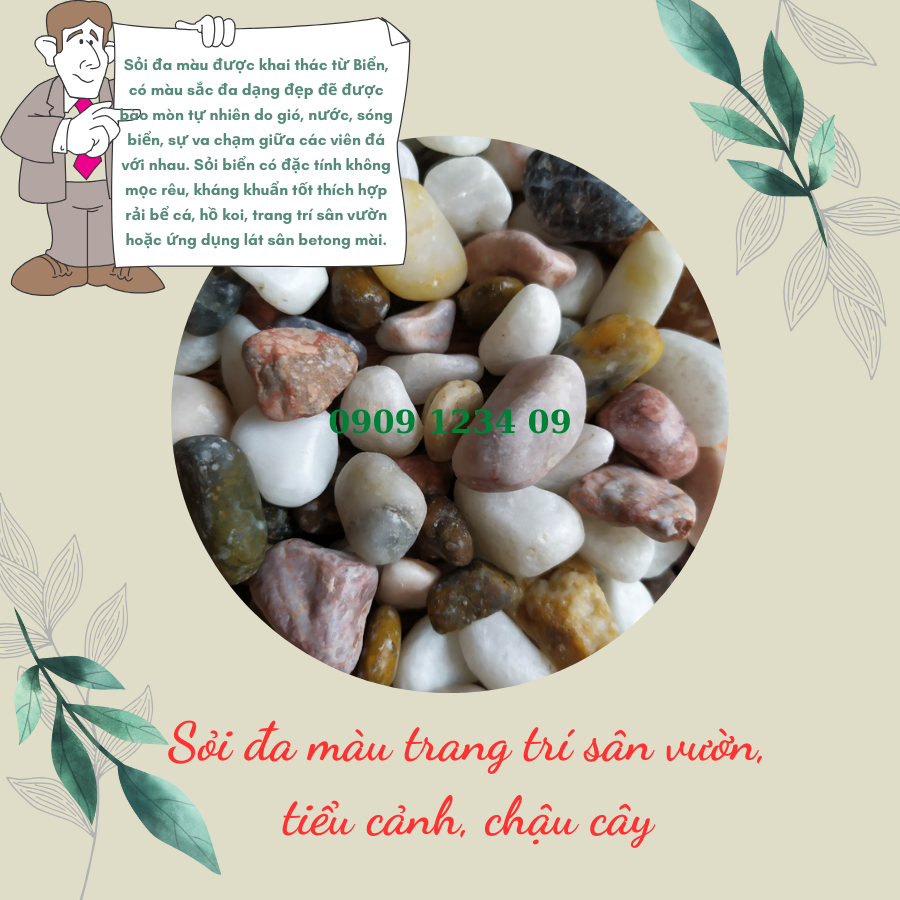 Soi Da Mau Trang Tri (1)