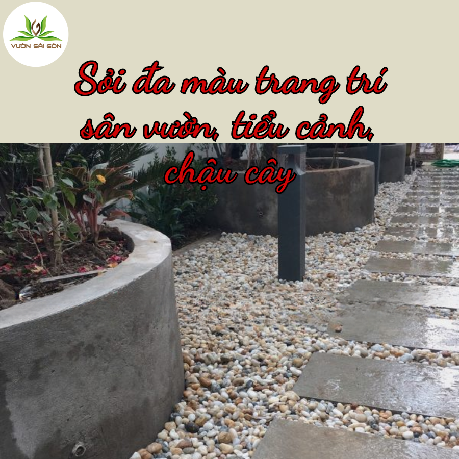 Soi Da Mau Trang Tri (2)