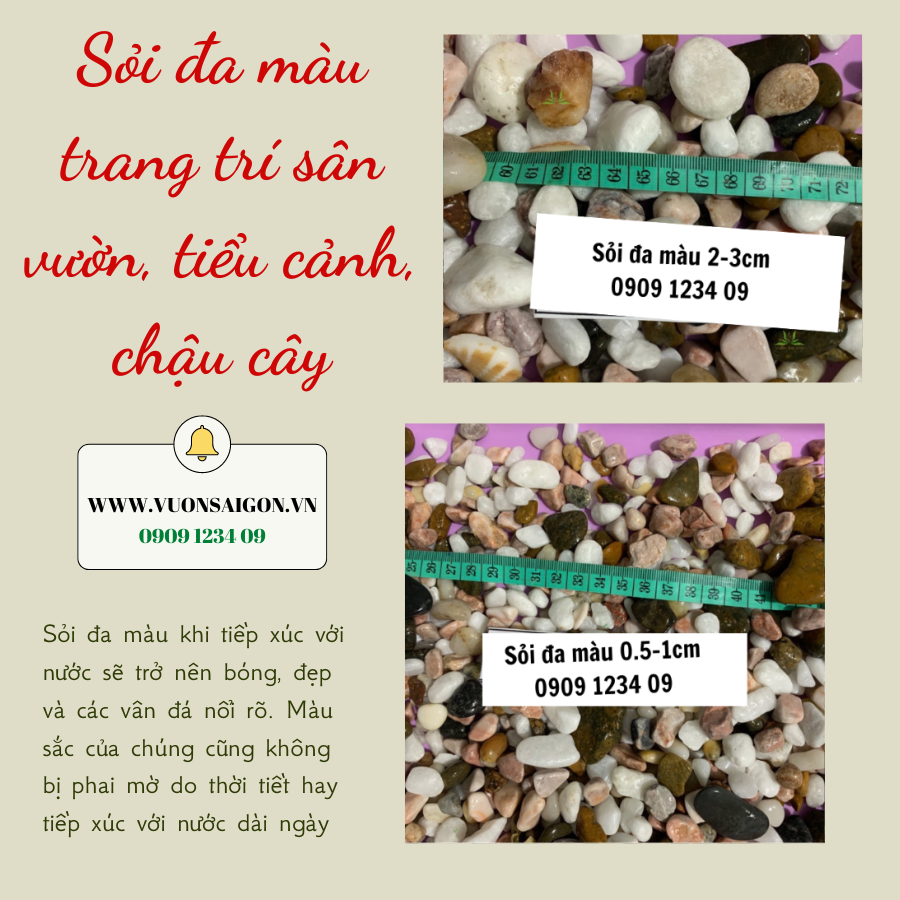 Soi Da Mau Trang Tri (3)