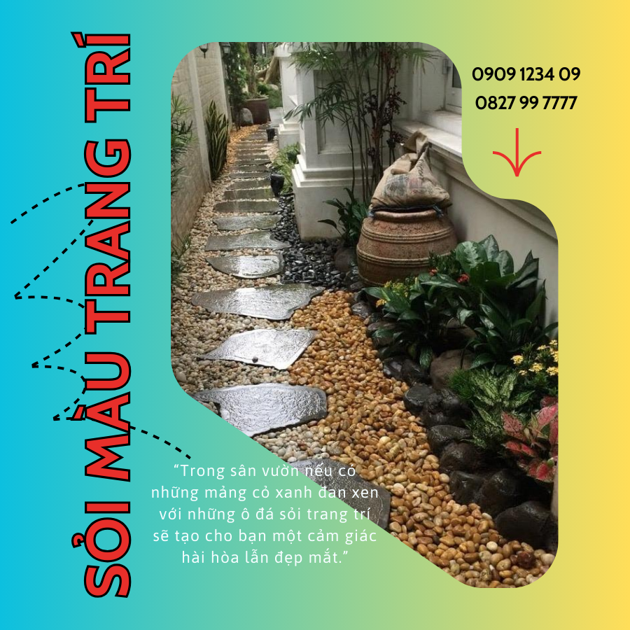Mẫu sỏi trang trí tiểu cảnh
