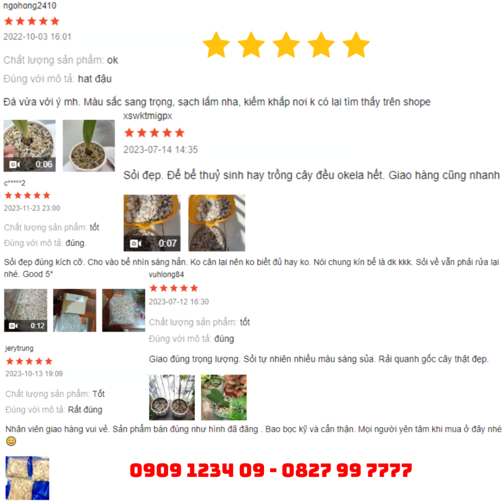 Soi Mau Tu Nhien Trang Tri