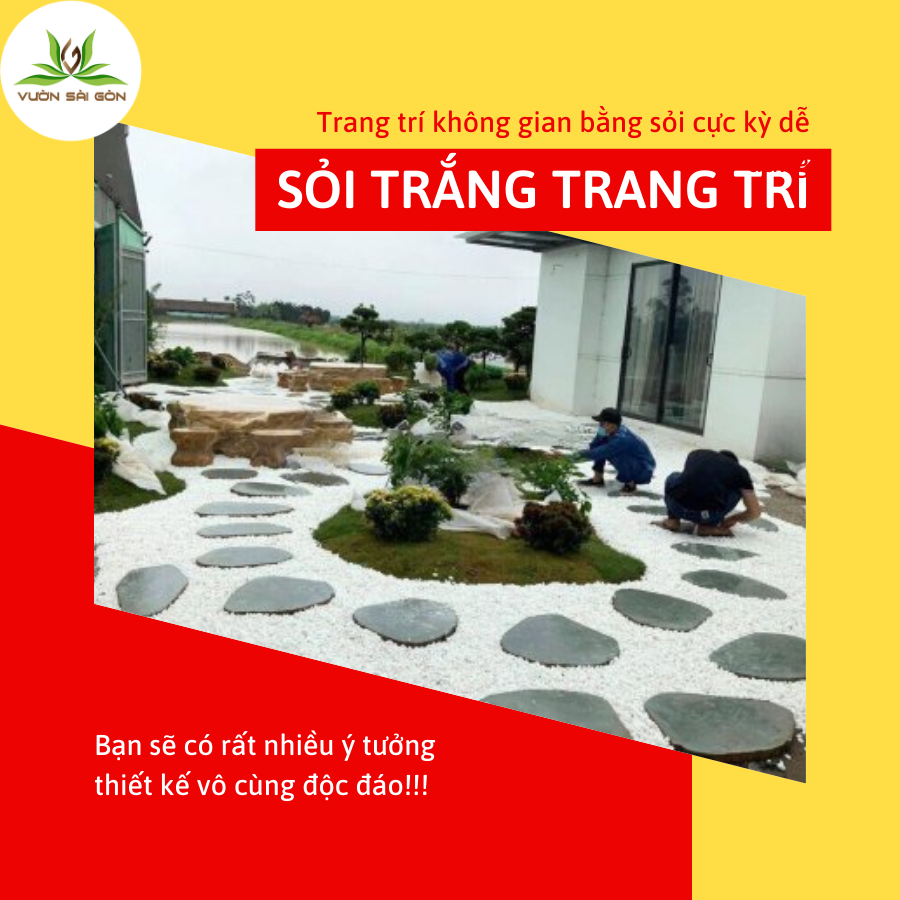 Hướng dẫn sử dụng sỏi trắng trang trí