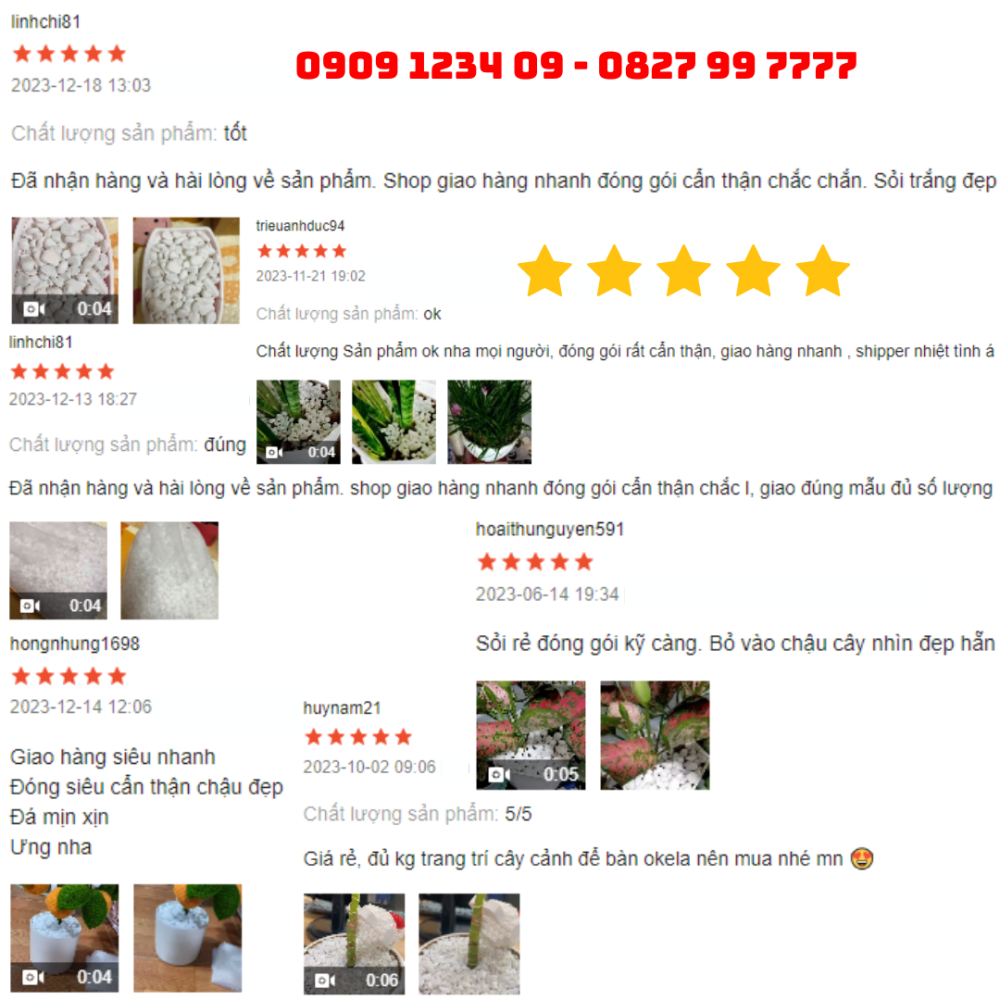 Soi Trang Trang Tri Tieu Canh