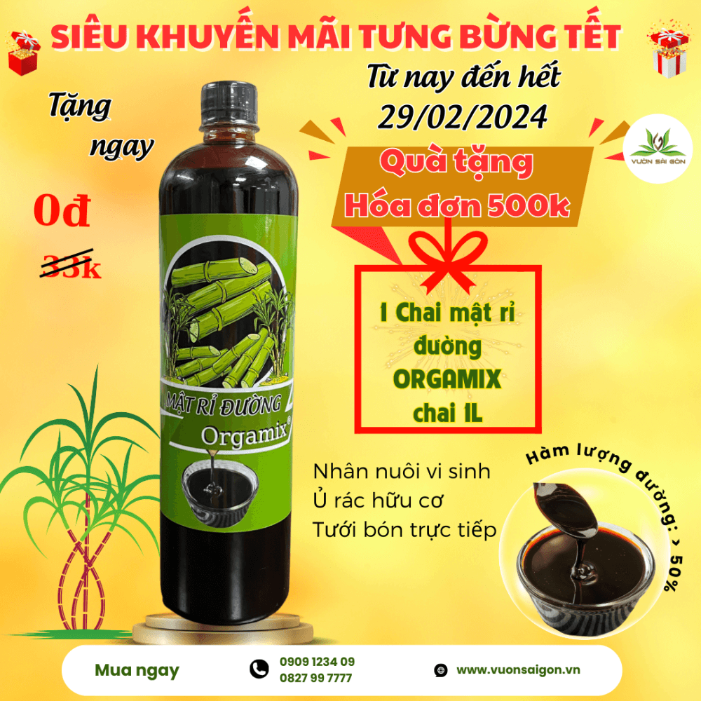 TẶng MẬt RĐ 2