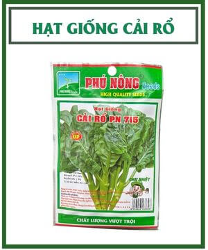 Hạt giống cải rỗ