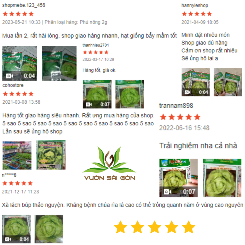 Hat Giong Xa Lach Bup (7)