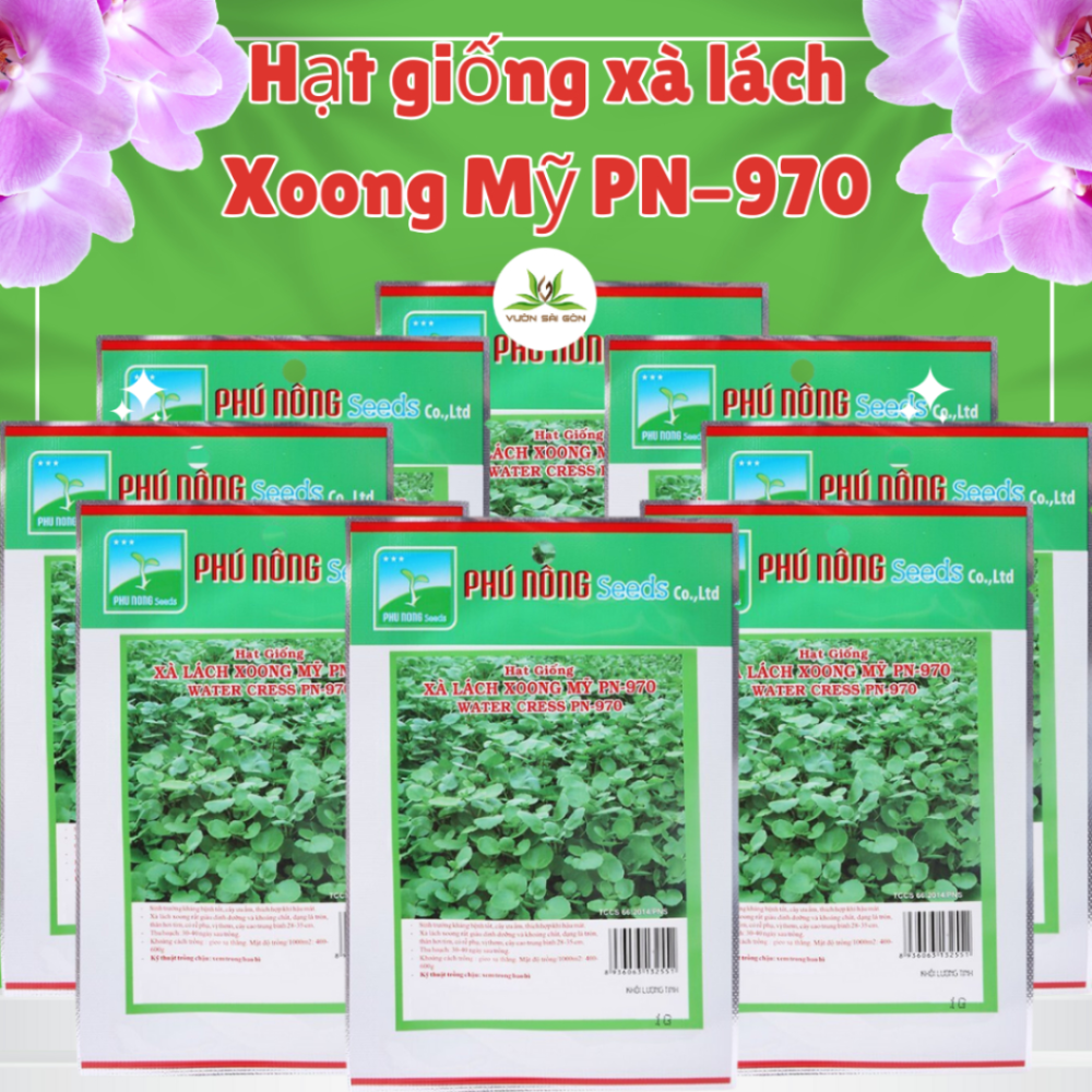 Hat Giong Xa Lach Xoong (1)
