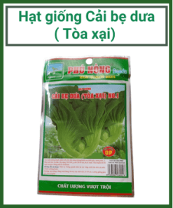 Hc Cai Be Dua