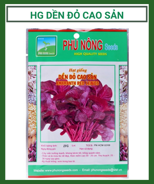 Hg Den Do Cao San (1)