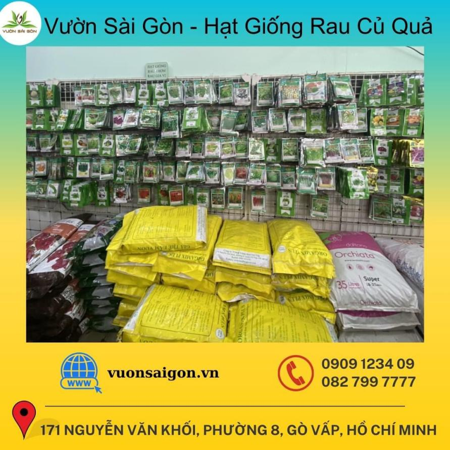 Noi Mua Cac Loai Hạt Giong De Trong Gia Re Tai Sai Gon 2