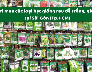 Noi Mua Cac Loai Hạt Giong De Trong Gia Re Tai Sai Gon 3
