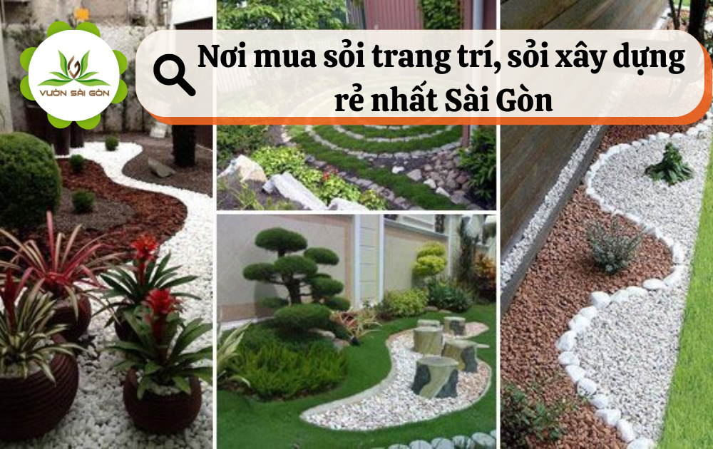 Noi Mua Soi Trang Tri San Vuon Re Nhat Sai Gon 2