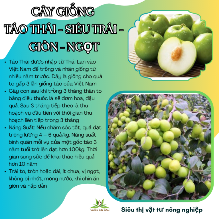 Cay Tao