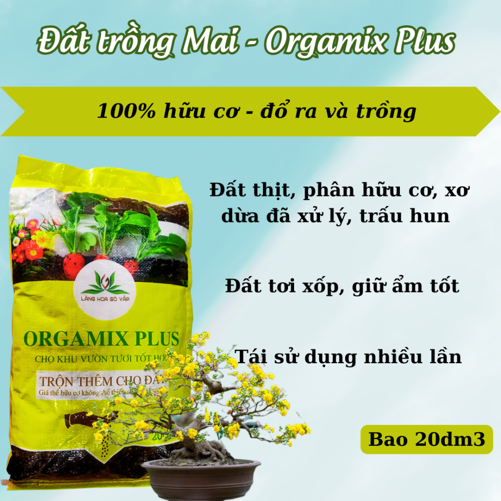Chọn đất phù hợp cho từng loại cây trồng