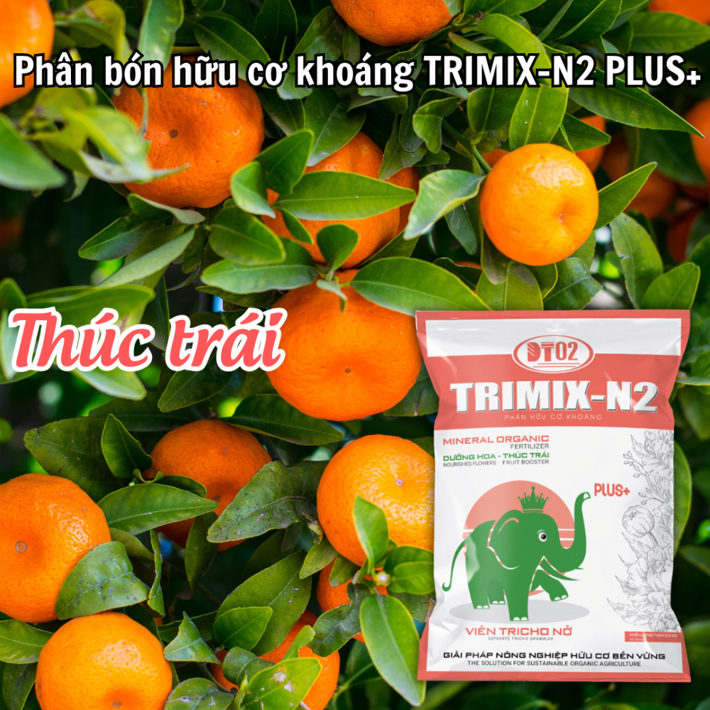 Phan Bon Huu Co Khoang Trimix N2 Plus