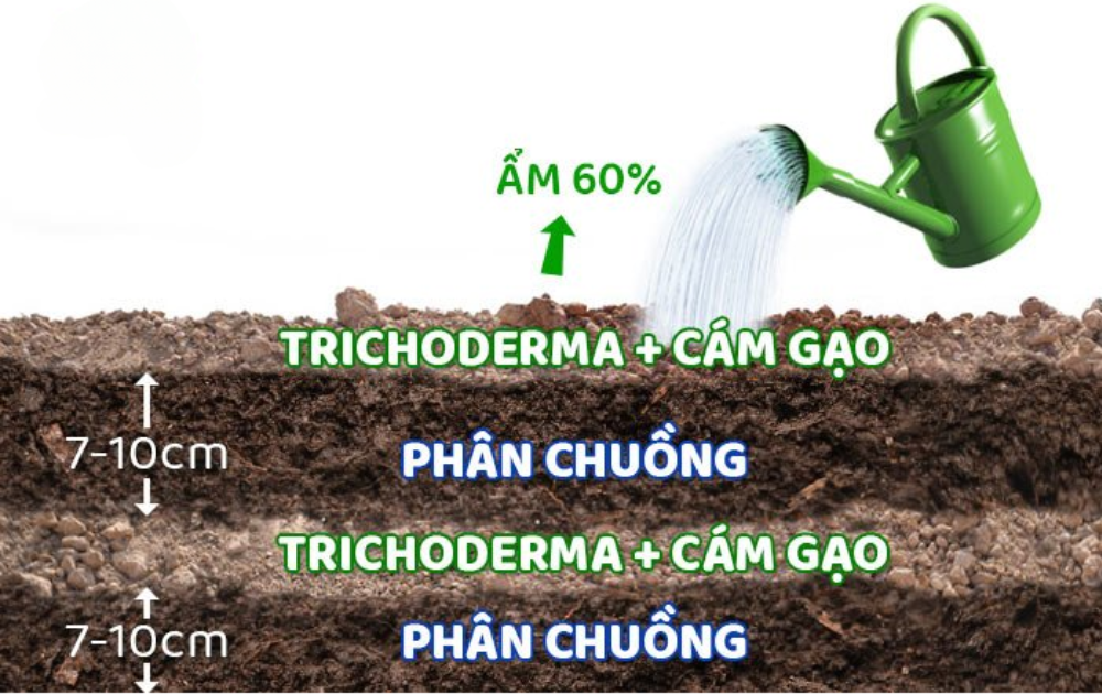 U Phan Chuong