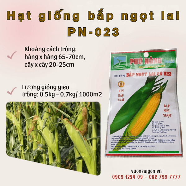 Hg Bap Ngot Pn 2