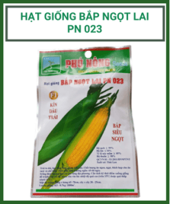 Bap Ngot
