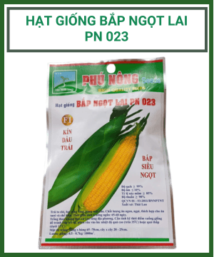 Bap Ngot
