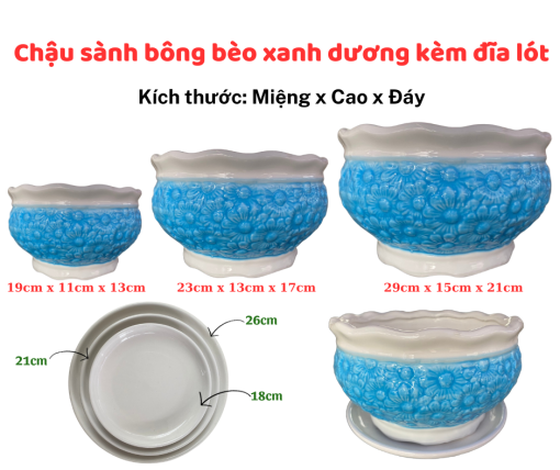 Chau Sanh Bong Beo (1)