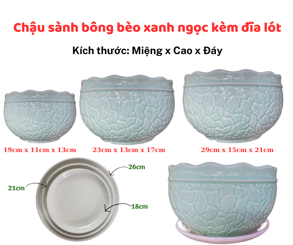 Chau Sanh Bong Beo (2)