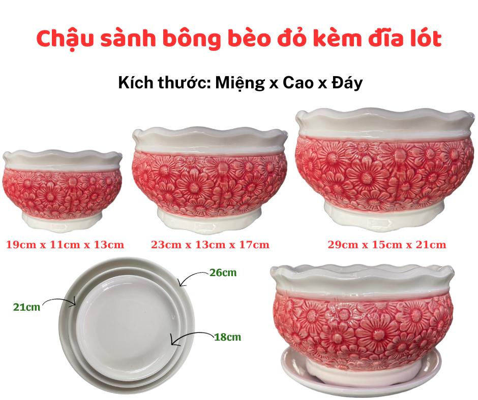 Chau Sanh Bong Beo (3)
