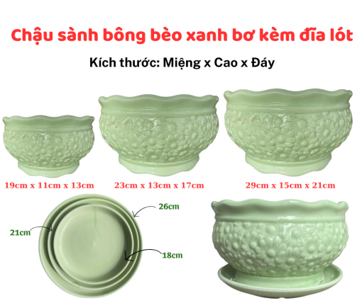 Chau Sanh Bong Beo (4)