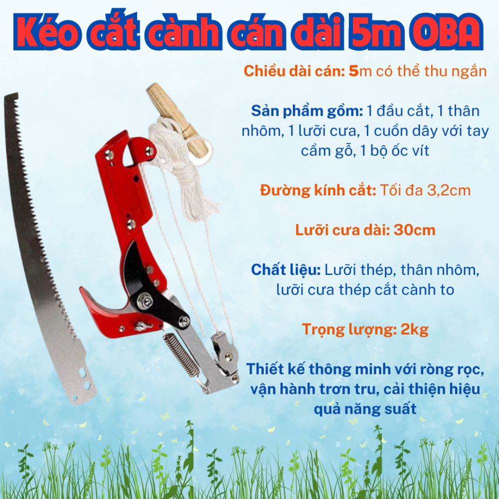 Keo Giat Canh Cay Tren Cao 5m