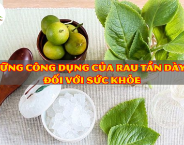 Nhung Cong Dung Cua Rau Tan Day La Doi Voi Suc Khoe