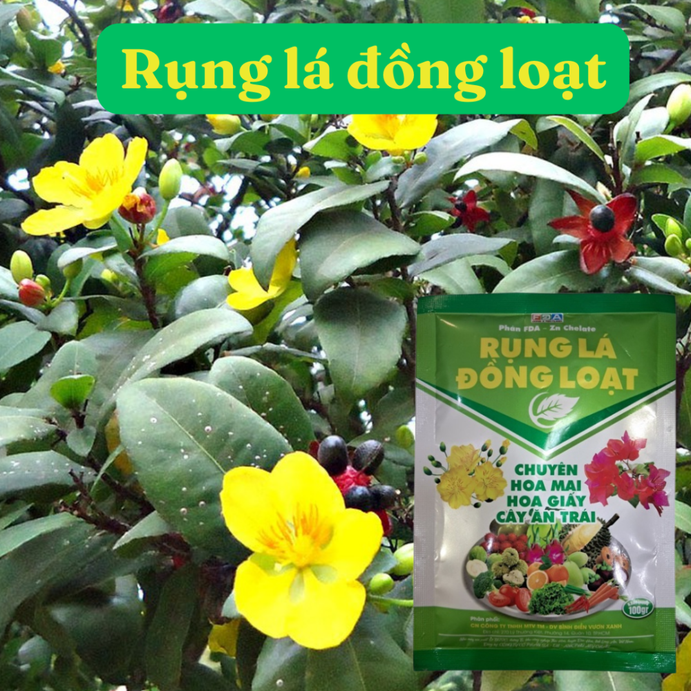 Rung La Dong Loat