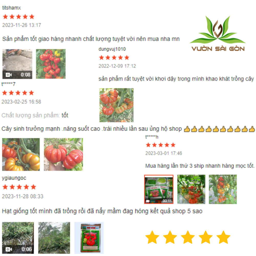 Hat Giong Ca Chua Canh Ca Chua Khia