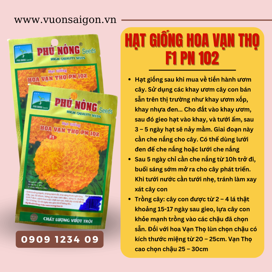 Hat Giong Hoa Van Tho Vang Cam (1)