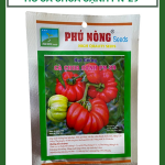 Hg Ca Chua Canh (4)