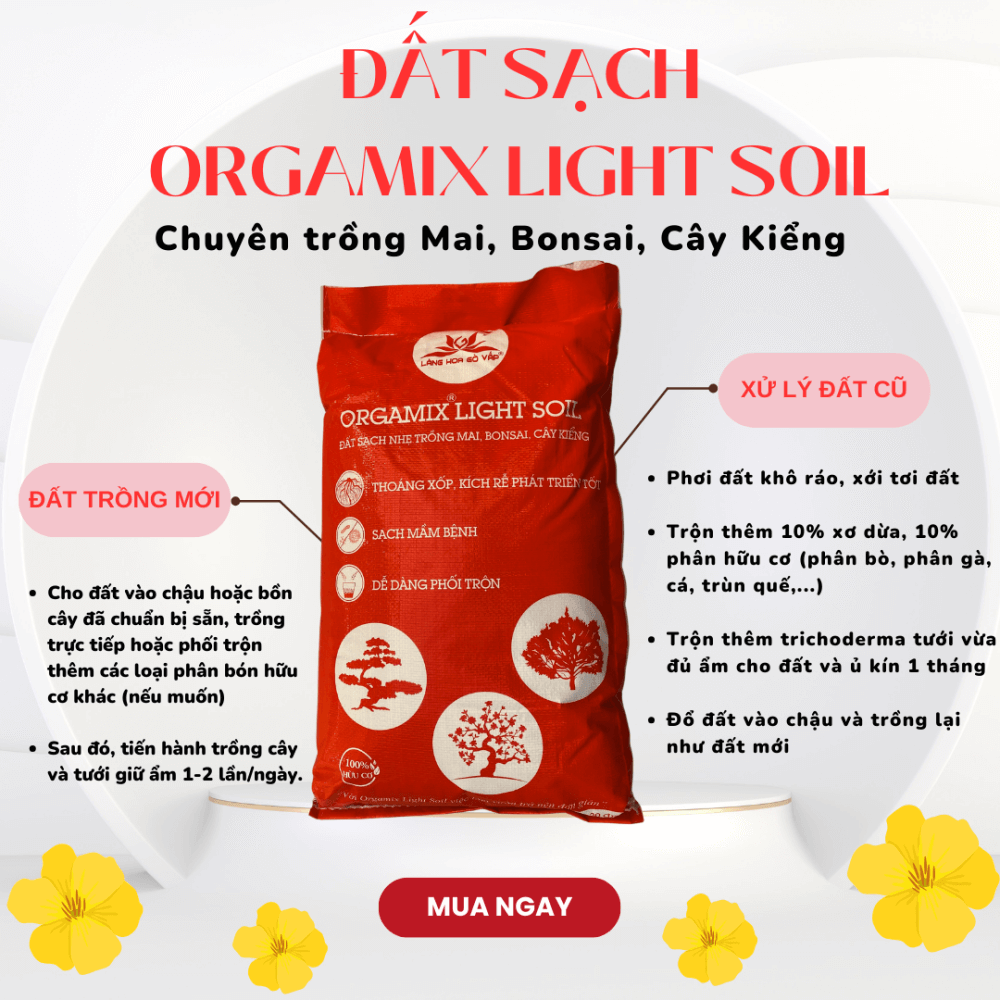 Dat Sach Trong Mai Bonsai Kieng La Orgamix Light Soil 5