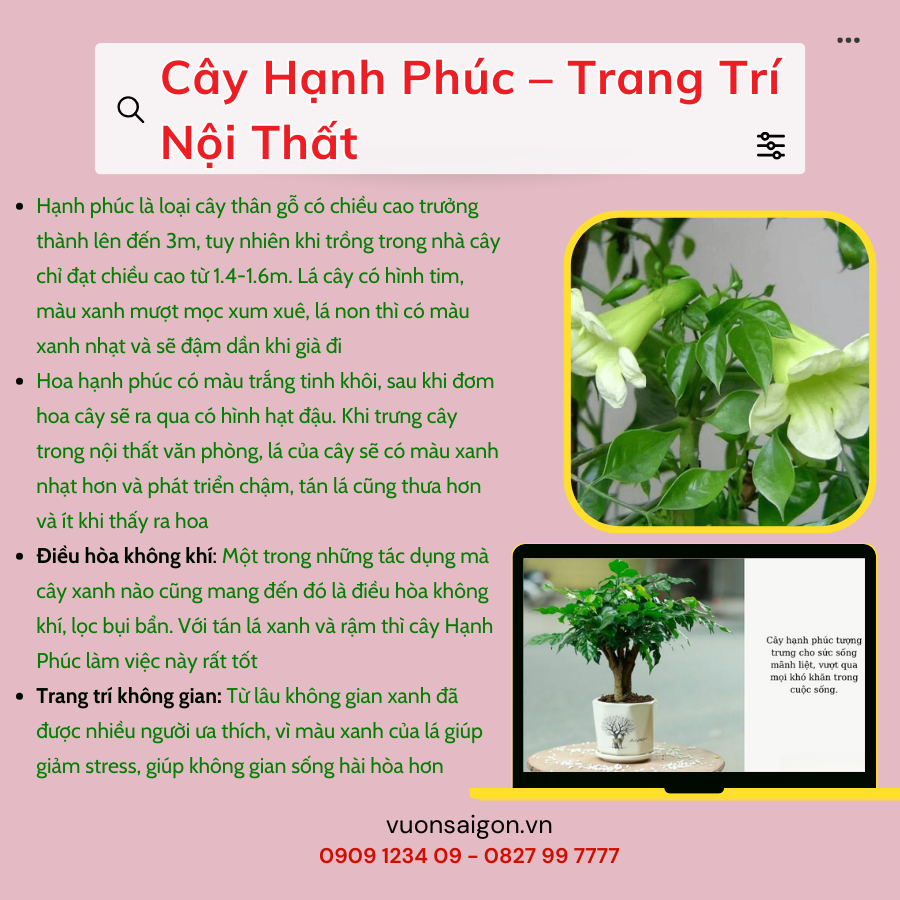 Cay Hanh Phuc Trang Tri Noi That (1)
