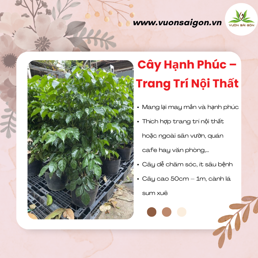 Cay Hanh Phuc Trang Tri Noi That (2)