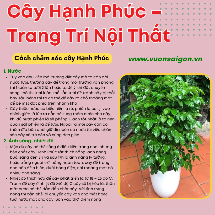 Cay Hanh Phuc Trang Tri Noi That (3)
